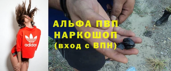 сатива Кодинск